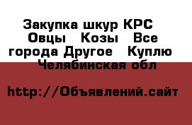 Закупка шкур КРС , Овцы , Козы - Все города Другое » Куплю   . Челябинская обл.